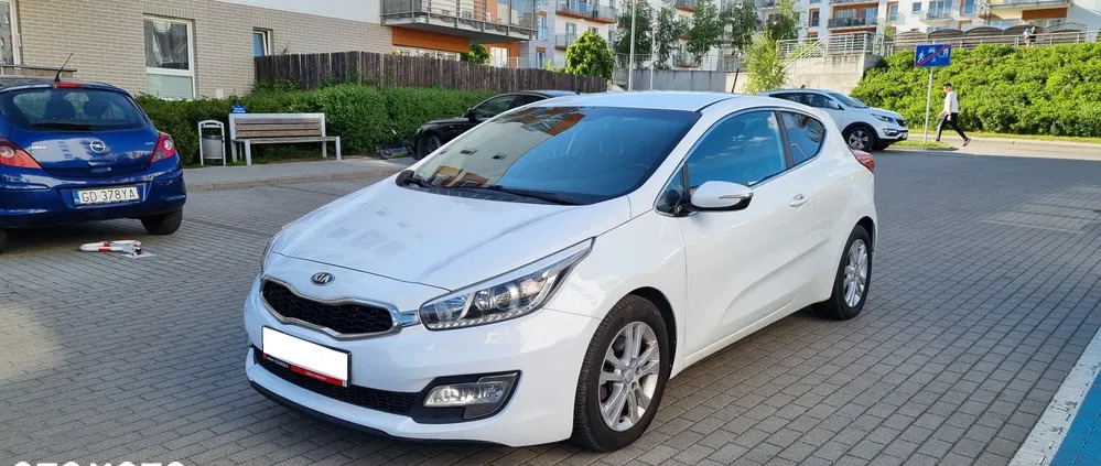 kia pro_cee'd gdańsk Kia Pro_cee'd cena 29900 przebieg: 169000, rok produkcji 2014 z Gdańsk